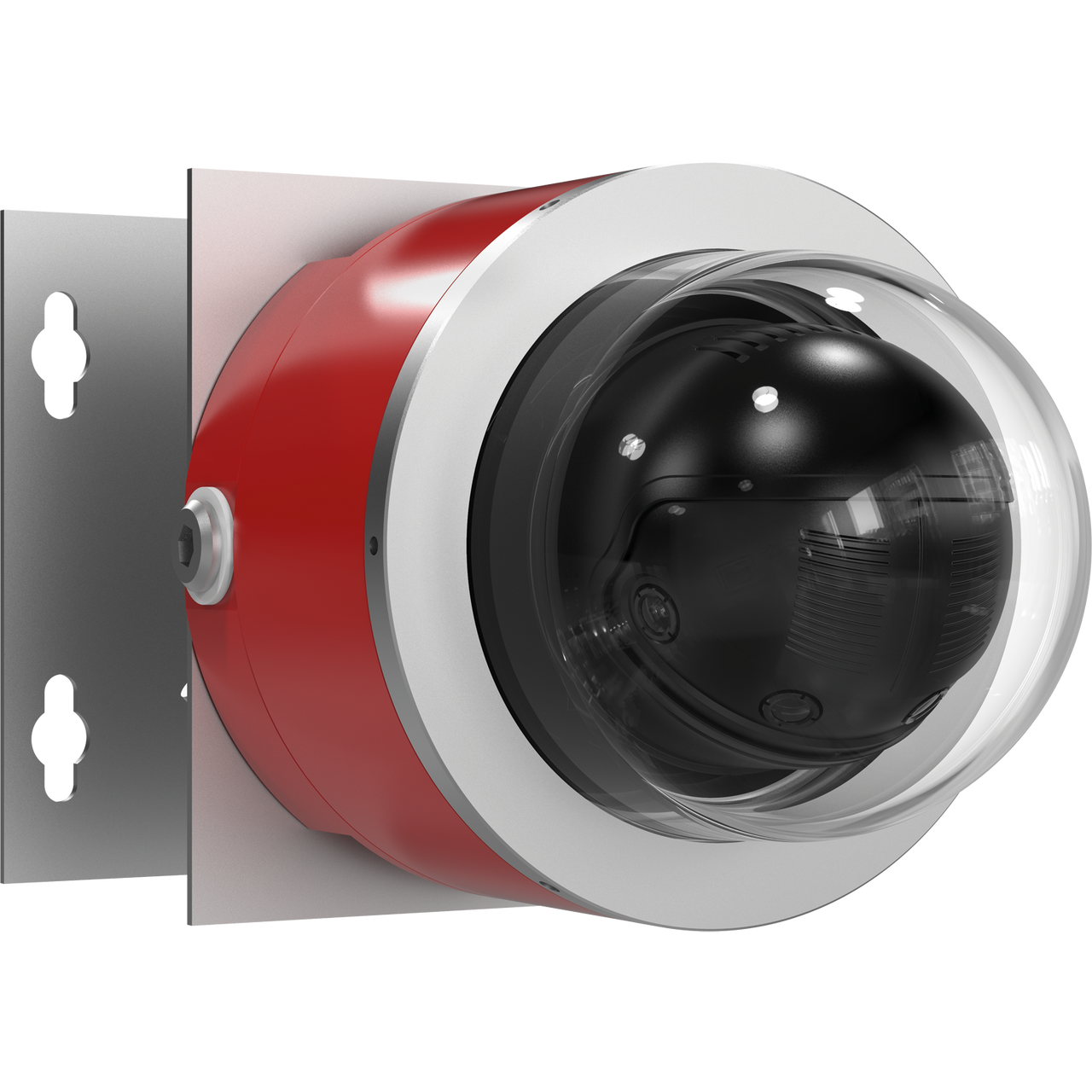 D101-A XF P3807 Explosion-Protected Network Camera
