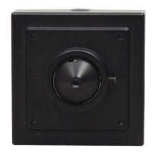 Speco Technologies SPE-HT7PHT 2MP HD-TVI Multi Format Pinhole Color Camera, 3.7mm lens