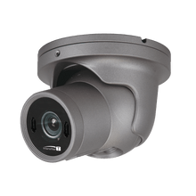 Speco Technologies SPE-HTINT601T 2MP HD-TVI IntensifierT Vandal Turret, 3.6mm lens, Grey housing, TAA
