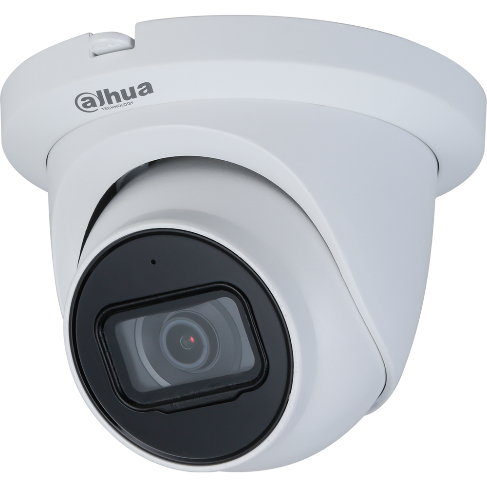 Dahua N43AJ52 4MP Starlight 2.8mm Eyeball, IR, SMD, ePoE