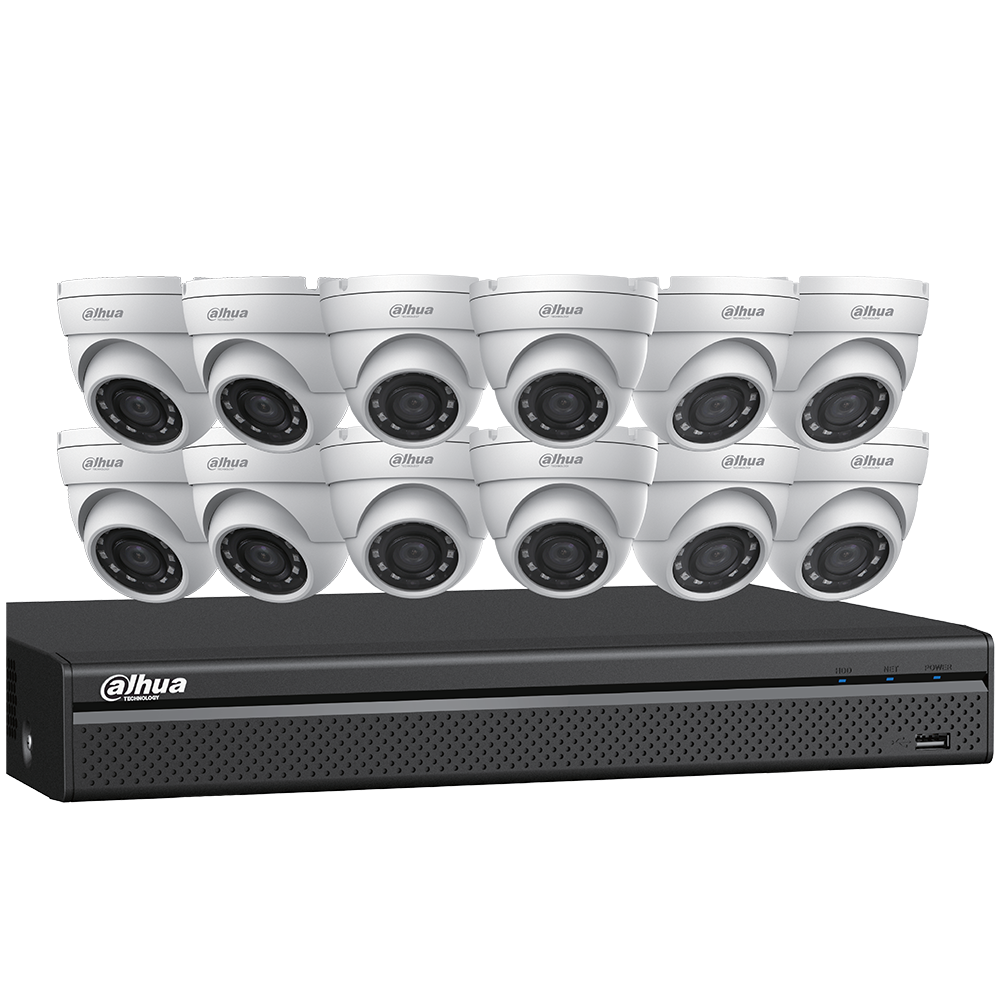 Dahua N5164E124 4MP Network Security System (12 Eyeball cameras + NVR)