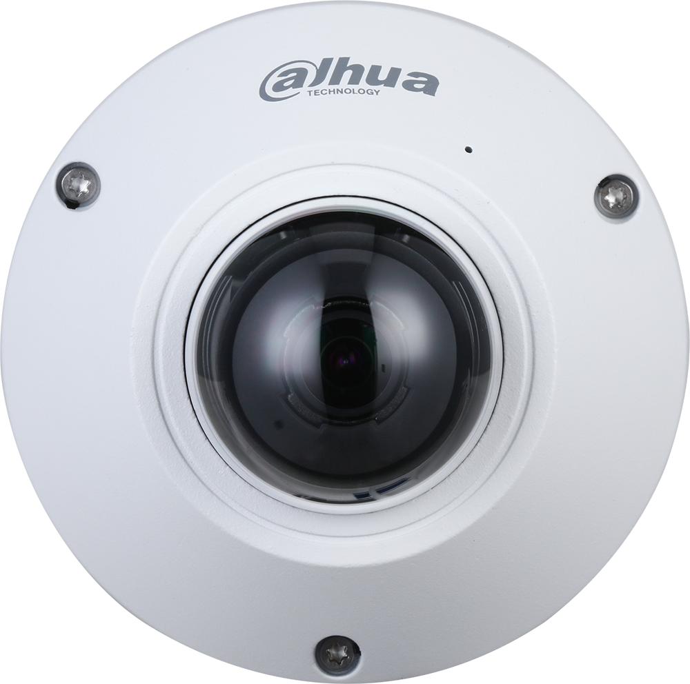 Dahua N55CS5 5MP AI fisheye