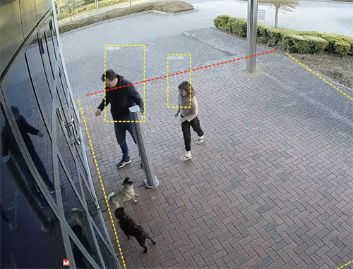 LILIN IVS2.2 License; Person and Vehicle Detection; Camera Series 2 and 3 only