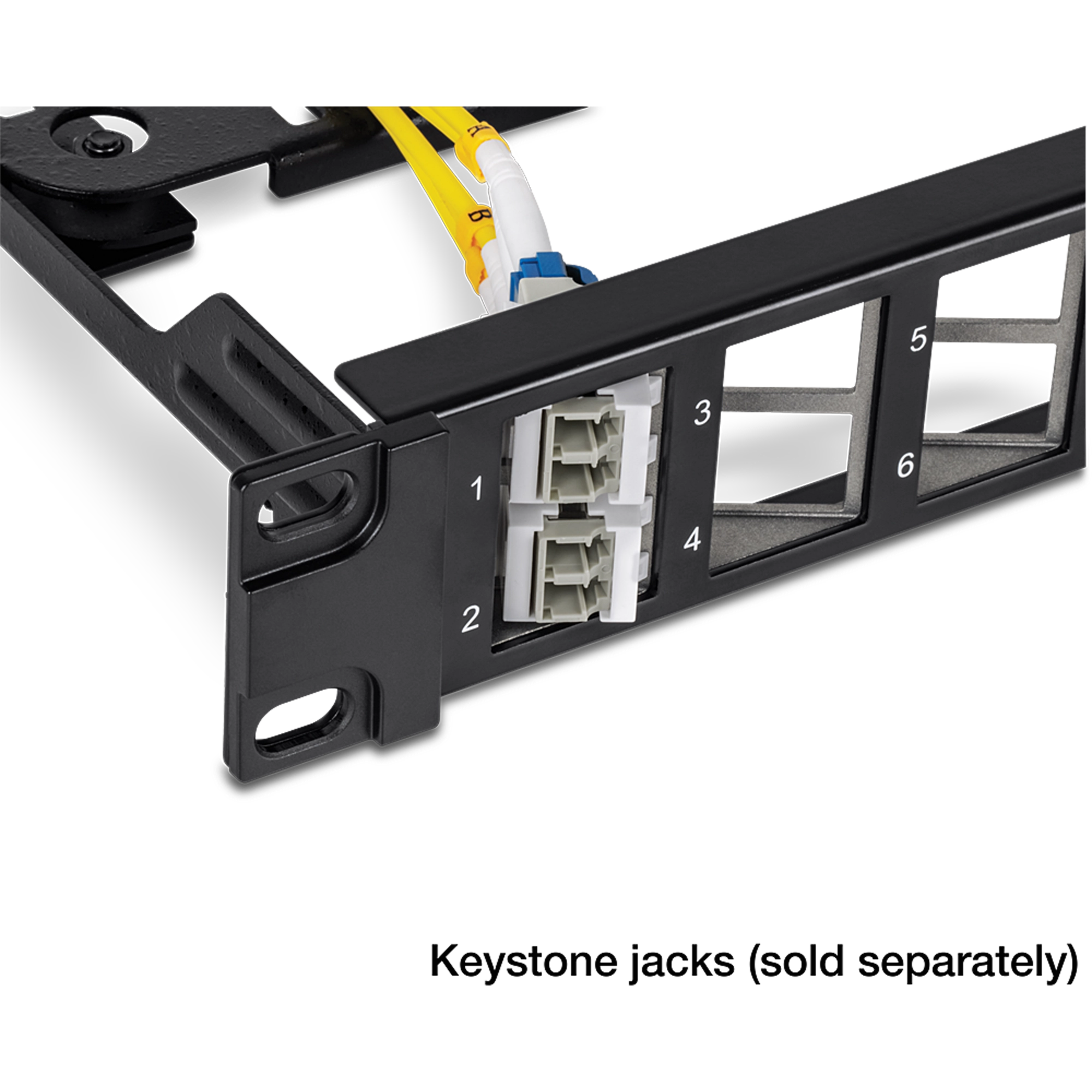 TRENDnet TC-KP24SA 24-Port Blank Angled Keystone