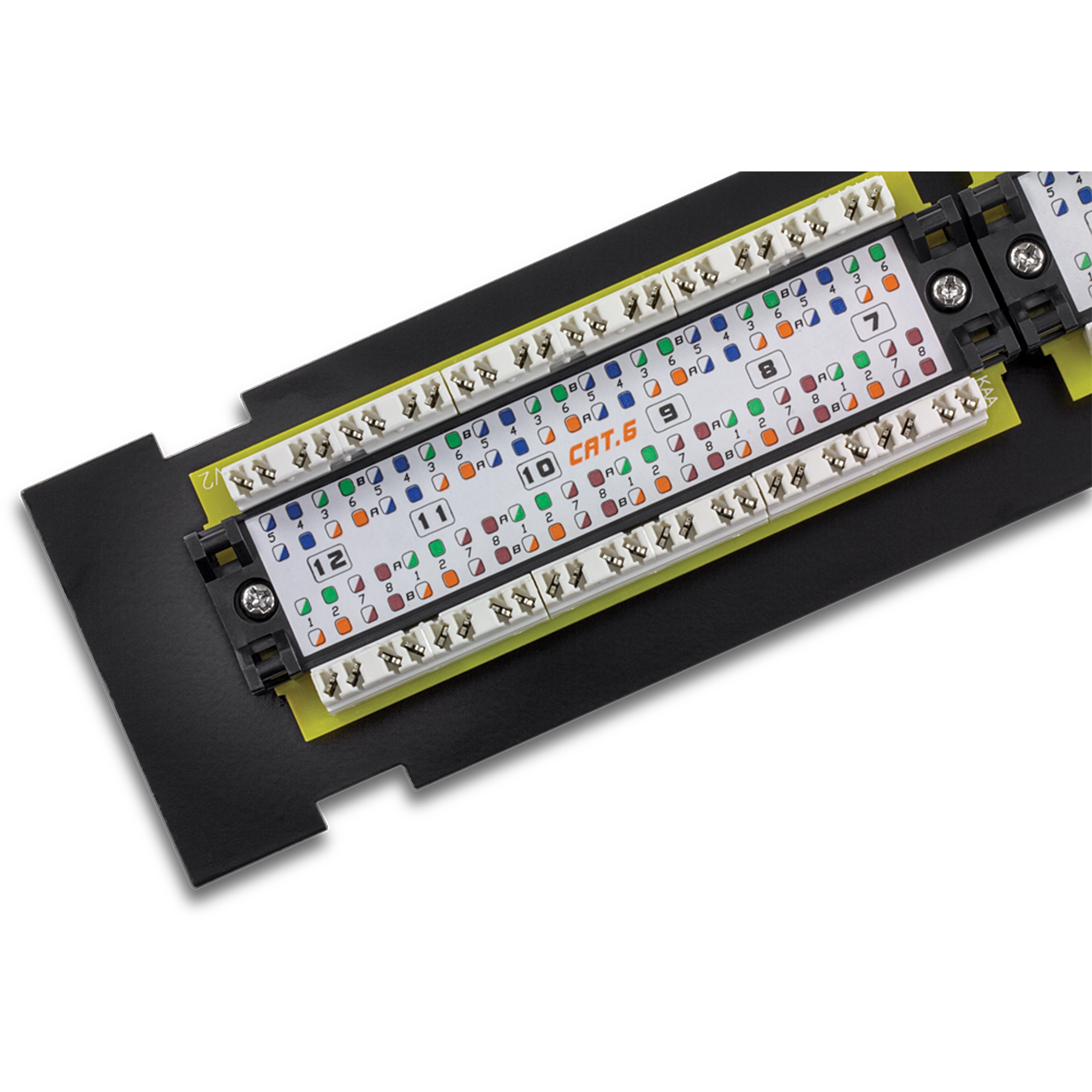 TRENDnet TC-P12C6V 12-Port Cat6 Unshielded Wall Mount Patch Panel with Included 89D Bracket