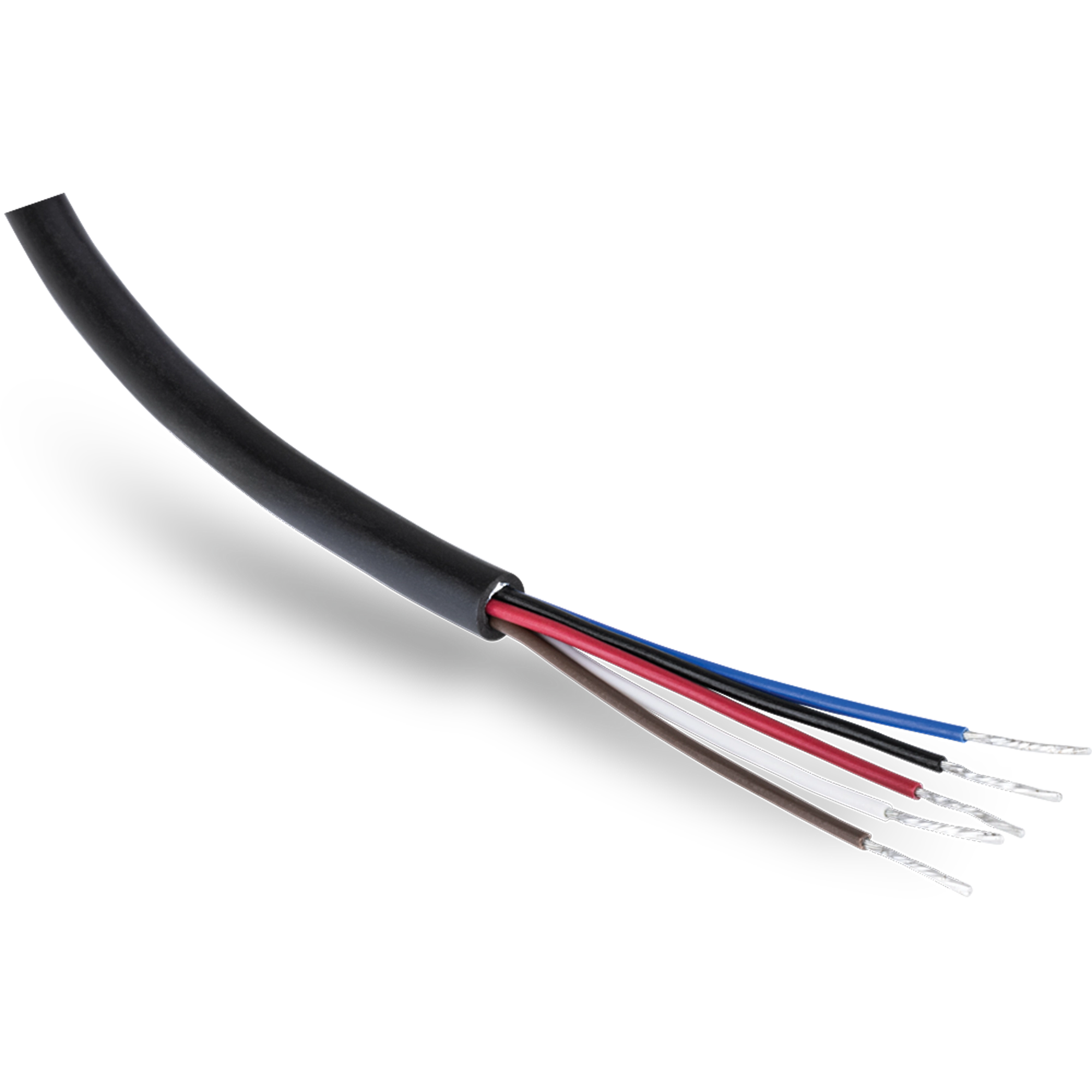 TRENDnet TI-CP02 Industrial M12 Female 5-Pin Connector Electrical Cable, 2m (6.5 ft.)
