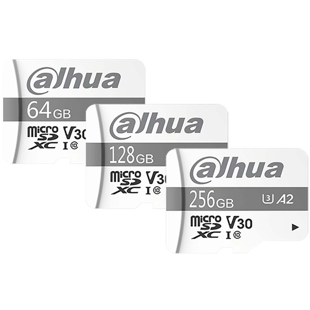 Dahua DHI-TF-P100/256GB 256GB SD card (DAH-DHI-TF-P100/256GB)