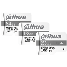 Dahua DHI-TF-P100/256GB 256GB SD card