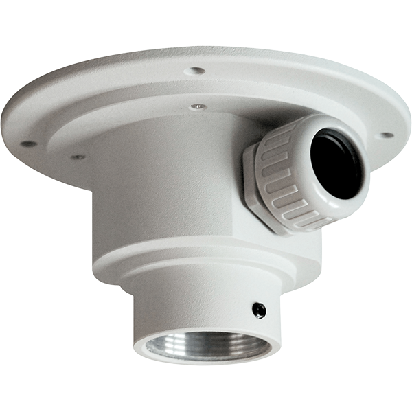 Vivotek AM-114_V02 Pendant Head (Outdoor)
