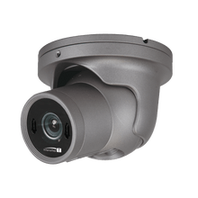 Speco Technologies SPE-HTINT601T 2MP HD-TVI IntensifierT Vandal Turret,  3.6mm lens, Grey housing, TAA