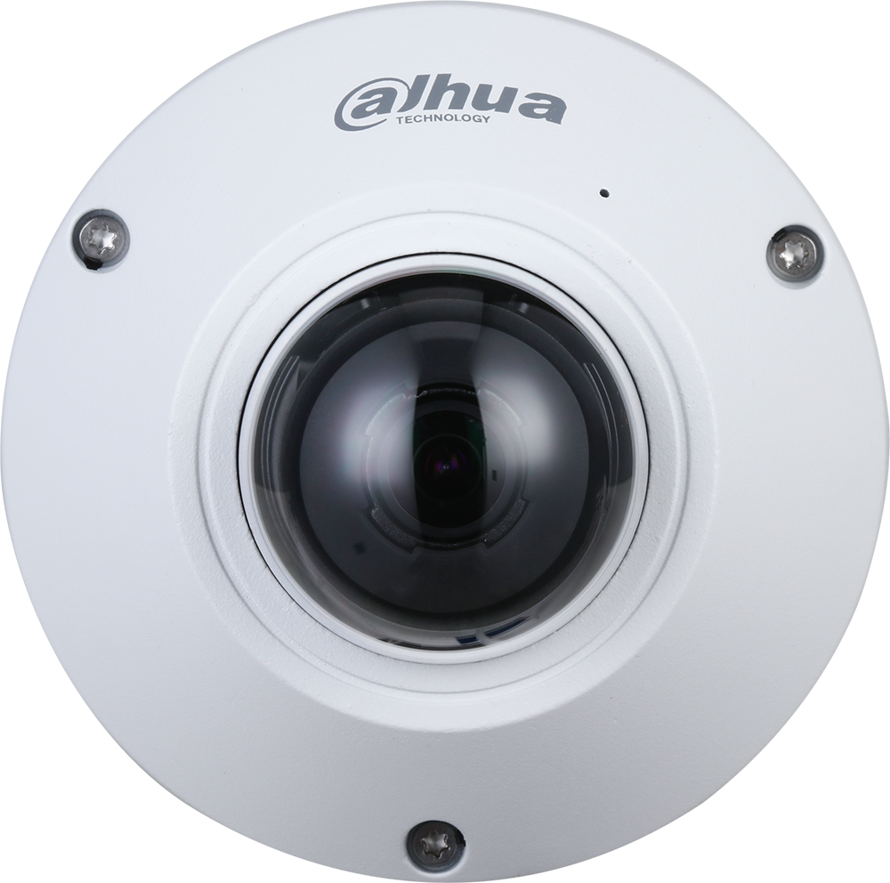 Dahua N55CS5 5MP 360° Panoramic Fisheye Network Camera (Outdoor) (N55CS5)