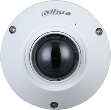 Dahua N55CS5 5MP AI fisheye