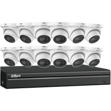 Dahua N564E124S IP Kit: 16-CH NVR + 12 x 4MP, Starlight. Mini Eyeball Cameras