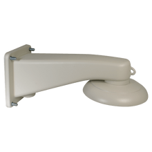 Speco Technologies SPE-PEN29DW Pendant Wall Mount for CPTZ29D5W