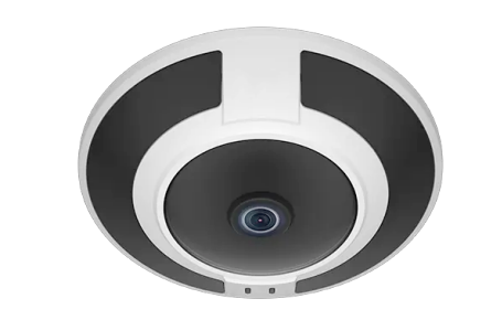 Eagle Eye Camera DF04 Fisheye 12Mpix, NDAA, IR, IP66, microphone,  DWDR, POE, SDCard, EEVMS ONLY (EN-CDUF-004a)