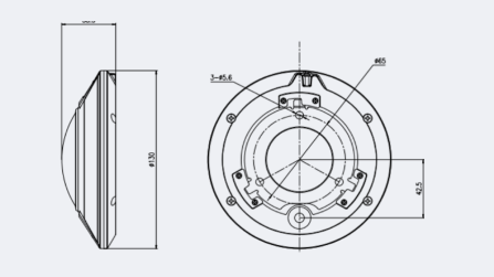 Eagle Eye Camera DF04 Fisheye 12Mpix, NDAA, IR, IP66, microphone,  DWDR, POE, SDCard, EEVMS ONLY (EN-CDUF-004a)