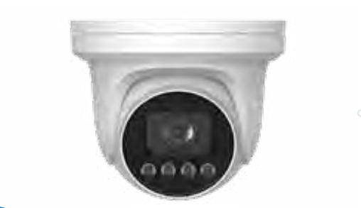 Eagle Eye Camera DT03 Outdoor Turret 4Mpix, NDAA, Starlight, WhiteLED, IP66, 2.8mm lens, microphone,  POE, SDCard (EN-CDUT-003a)