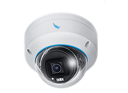 Eagle Eye Pro Camera PD01 OutdoorVandal Dome 5Mpix, 2.8mm, IR, IP67, NDAA,  POE, SDCard (EN-CPUD-001a)